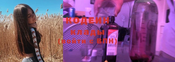 гашик Михайлов