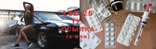 гашик Михайлов