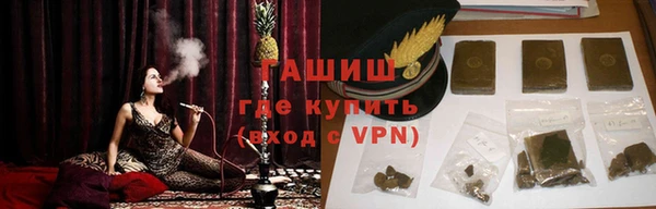 шишки Медвежьегорск