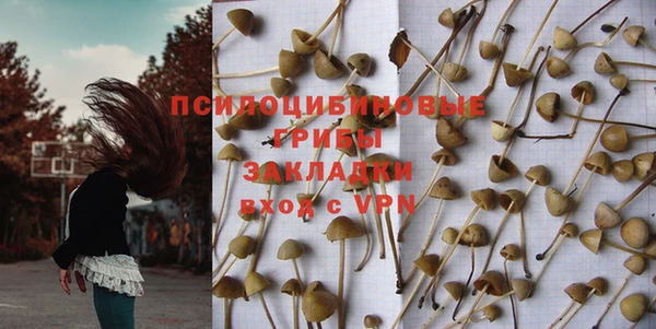 apvp Сосновый Бор