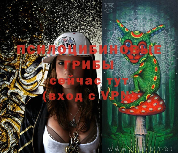 дживик Михайловка