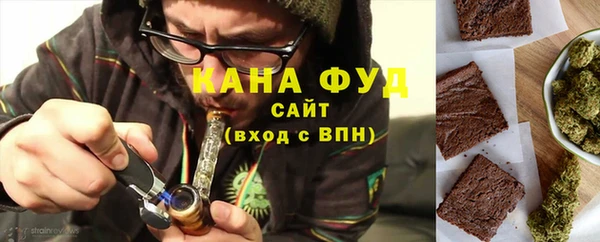 гашик Михайлов