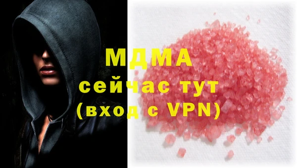 шишки Медвежьегорск