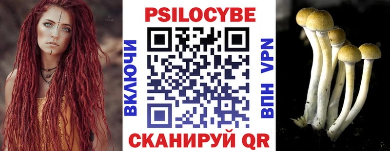 Галлюциногенные грибы мицелий  Новопавловск 