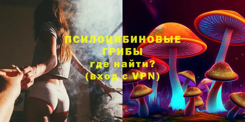 сколько стоит  Новопавловск  Галлюциногенные грибы Psilocybe 