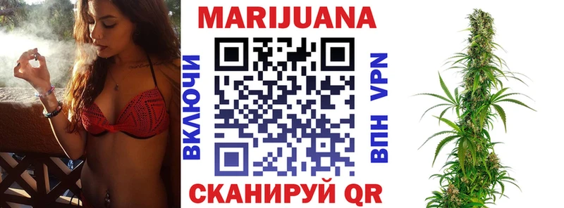 Каннабис OG Kush  Новопавловск 